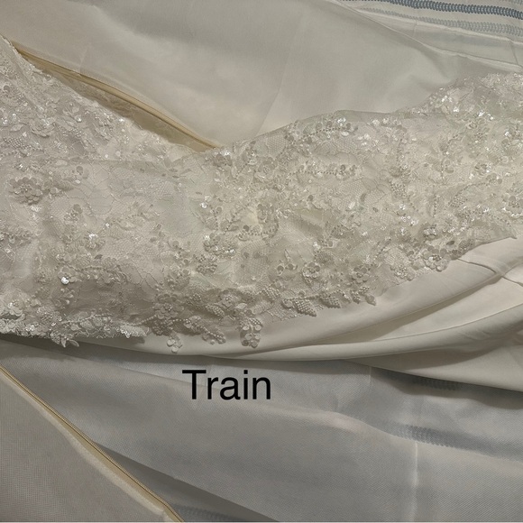 Luxe Privee Elise Gown (Equivalent to a misses 14 in standard clothing) - Picture 5 of 9